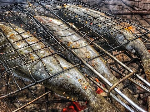 油でギトギトの魚焼きグリル