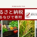 【図解でかんたん】楽天ふるさと納税のやり方を解説|面倒なら楽天でポチる