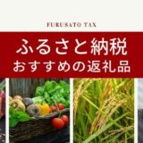【電化製品もテレビ📺も】ふるさと納税おすすめの返礼品|日用品・食品・お米・野菜・肉・魚