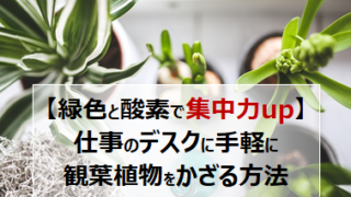 foliage-plant