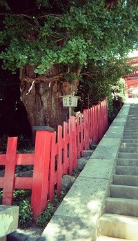 photo-data