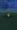 pokemon-go-ditto-bug-night