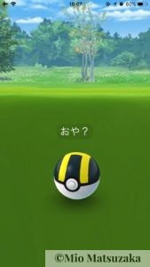 pokemon-go-ditto-bug3
