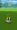 pokemon-go-ditto-bug3